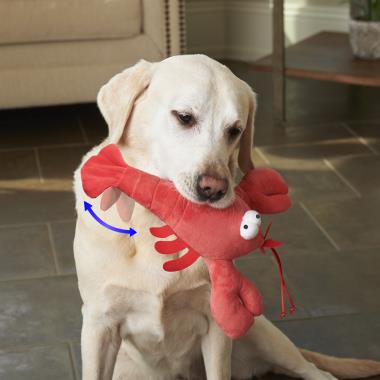The Play Enticing Canine's Squeakers