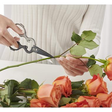The Solingen Self Sharpening Scissors