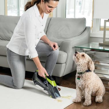 The Cordless Carpet Stain Remover