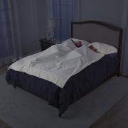 http://www.hammacher.com - The Sanitizing Sleep Cocoon (Two Person) 139.95 USD