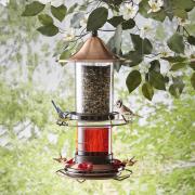 Hummingbird And Song Bird Feeder Gift