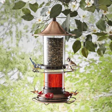 The Hummingbird And Song Bird Feeder