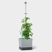 http://www.hammacher.com - The Self Irrigating Tomato Planter 99.95 USD