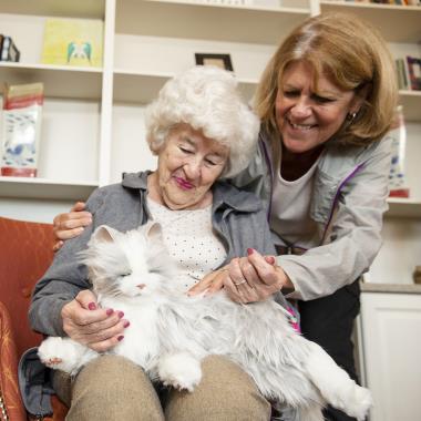 Lifelike cats for the elderly hotsell