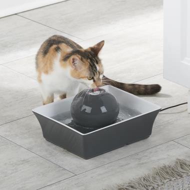 The Whisper Quiet Ceramic Pet Fountain