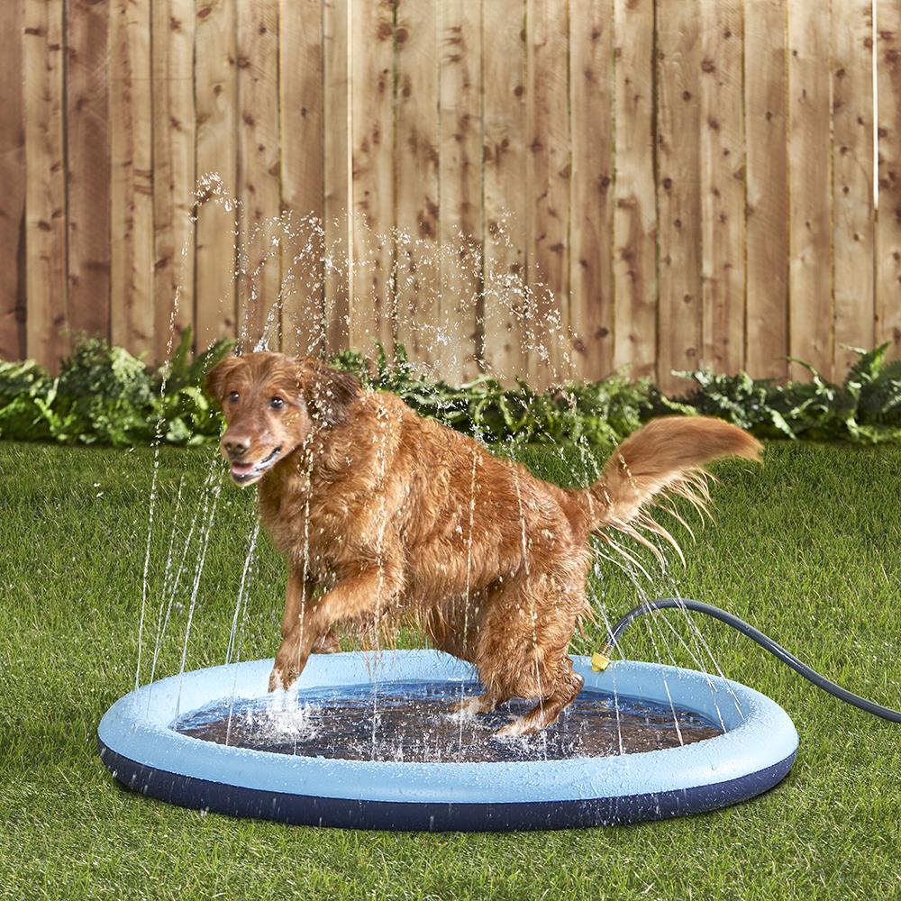 Canine's Sprinkling Splash Pool
