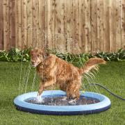 Canine's Sprinkling Splash Pool Gift