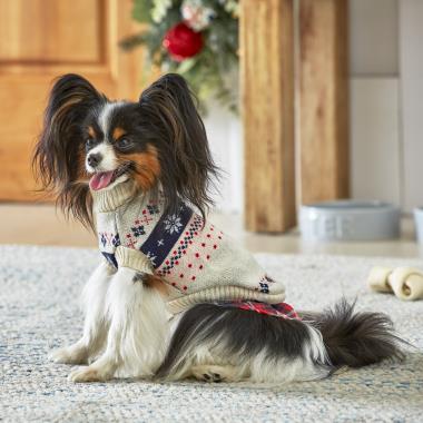 Your Dog's Christmas Sweater (Extra Small/Small)