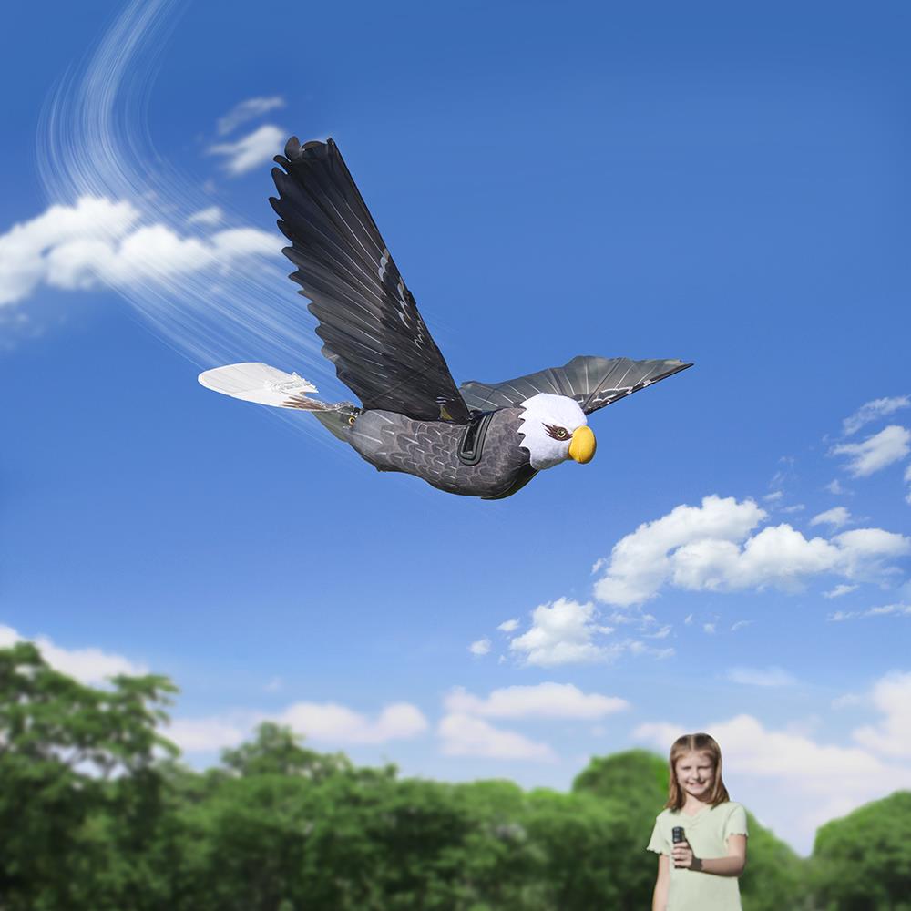 The RC Realistic Flying Eagle - Hammacher Schlemmer