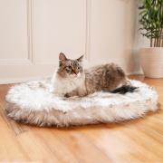The Washable Cozy Cat Bed