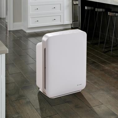 The Advanced Smoke And Odor Eliminating Air Purifier