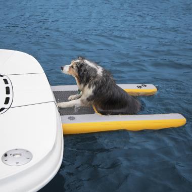 The Swimming Dog's Boat/Pool Ramp