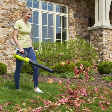 Lightweight rechargeable deals leaf blower