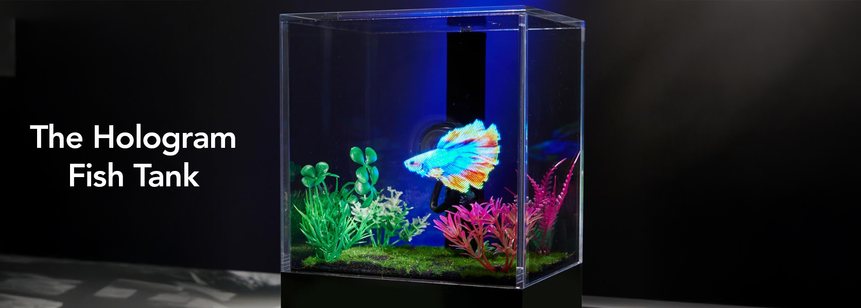 The Hologram Fish Tank