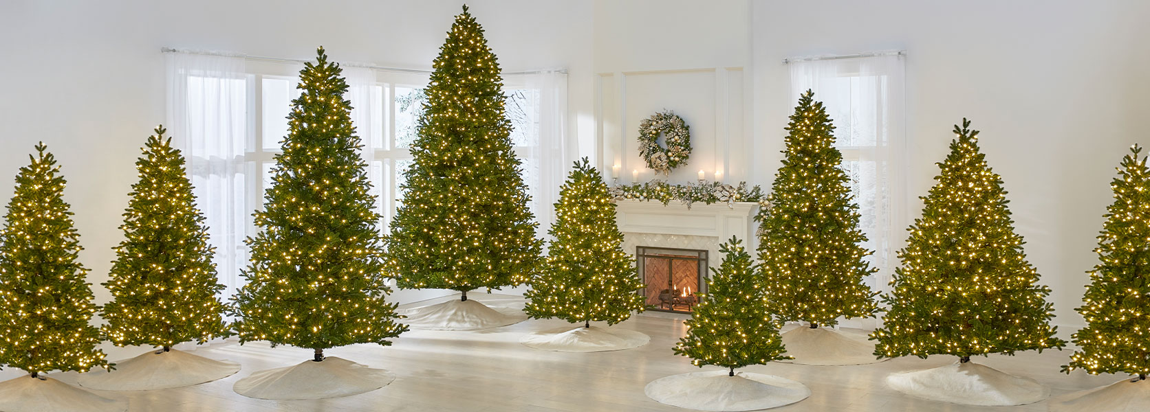 Best High-Quality Christmas Trees