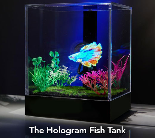 The Hologram Fish Tank