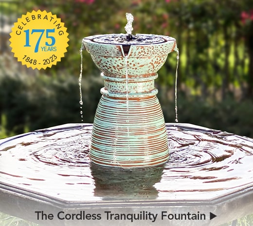 The Cordless Tranquility Fountain