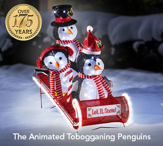 The Animated Tobogganing Penguins