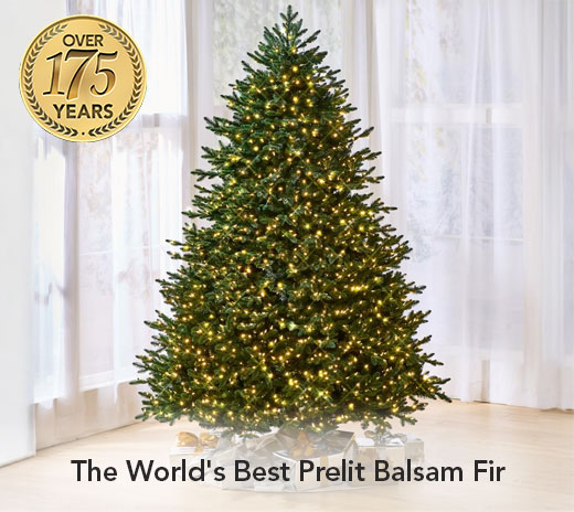 The Worlds Best Prelit Balsam Fir