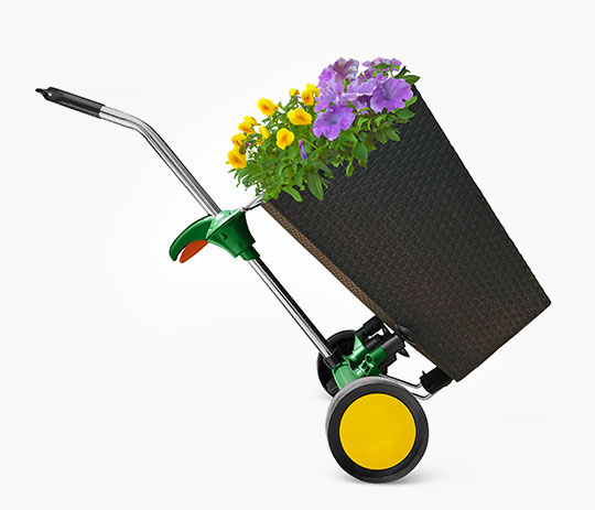 Shop Lawn and Garden