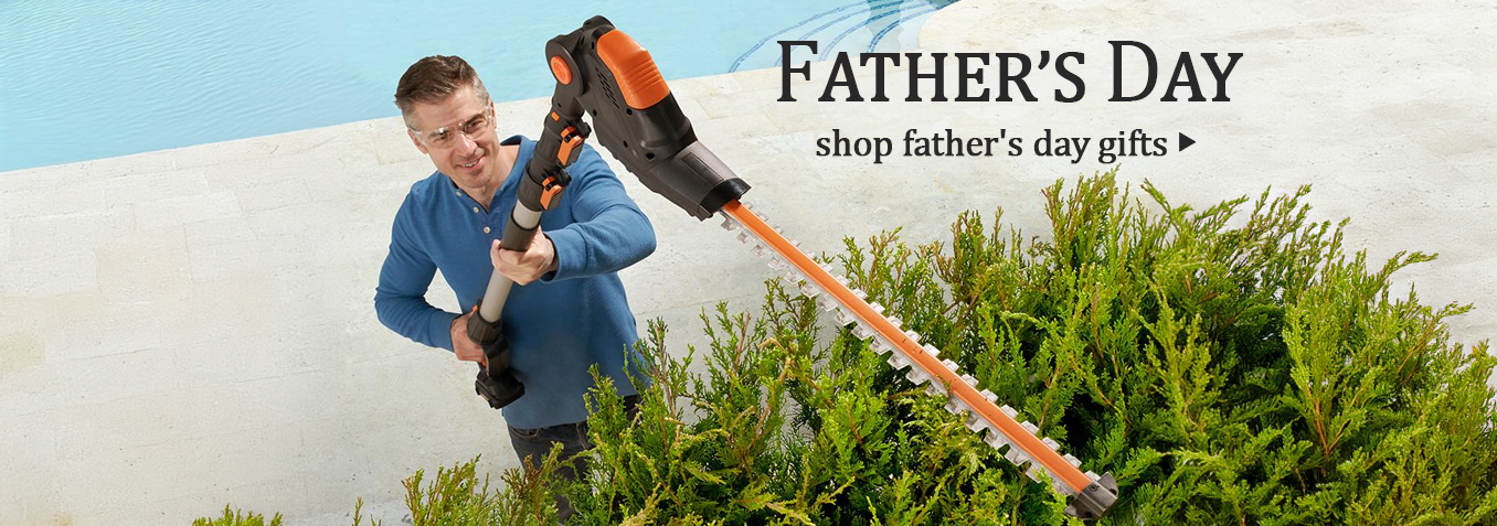 Father's Day shop gifts