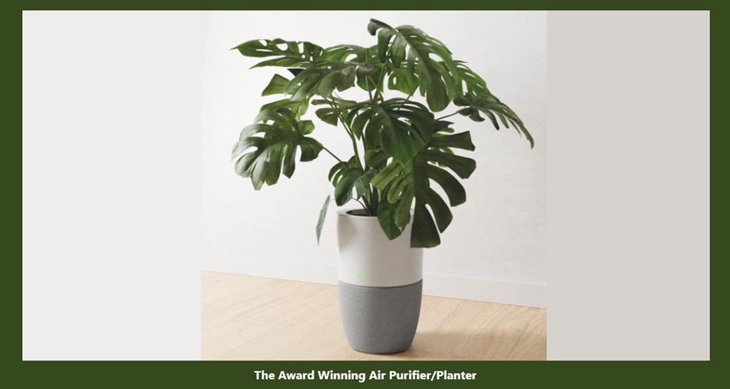 The Award-Winning Air Purifier/Planter