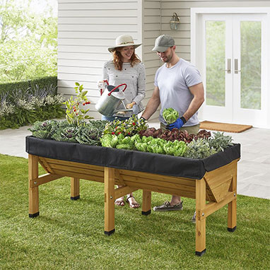 Why You Should Consider Raised Garden Beds
