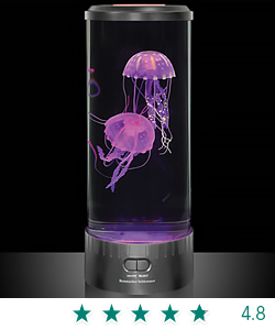 The Hypnotic Jellyfish Aquarium