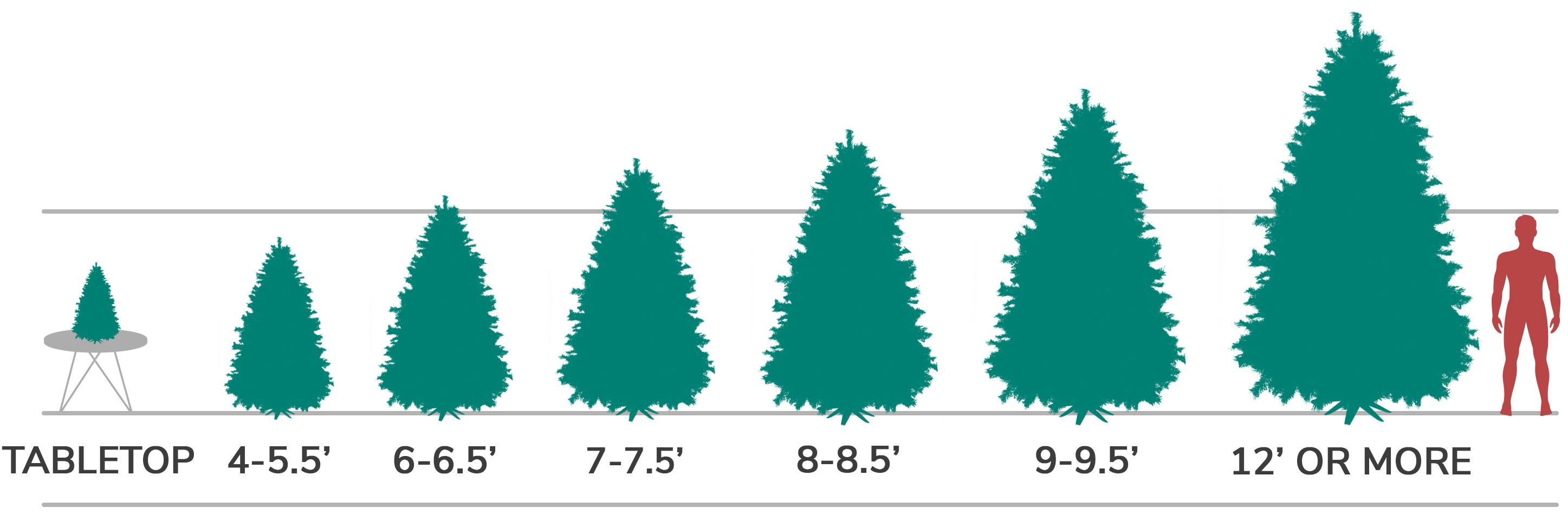 Christmas Tree Sizing Chart