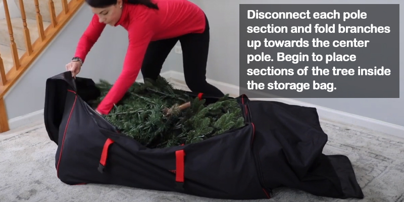 Preparing tree for storage