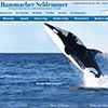 Hammacher Schlemmer Redesigned Website